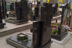 zobrazhennya_viber_2024-02-17_13-10-10-633