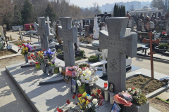 zobrazhennya_viber_2025-03-11_13-04-12-905