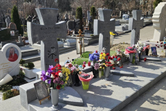 zobrazhennya_viber_2025-03-11_13-04-13-386